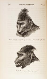 DARWIN, CHARLES. The Expression of the Emotions in Man and Animals. London, 1872. First edition, second issue. With 7 plates.