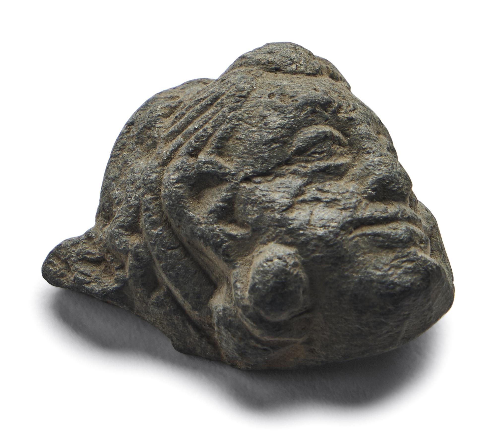 A Gandharan Stone Head