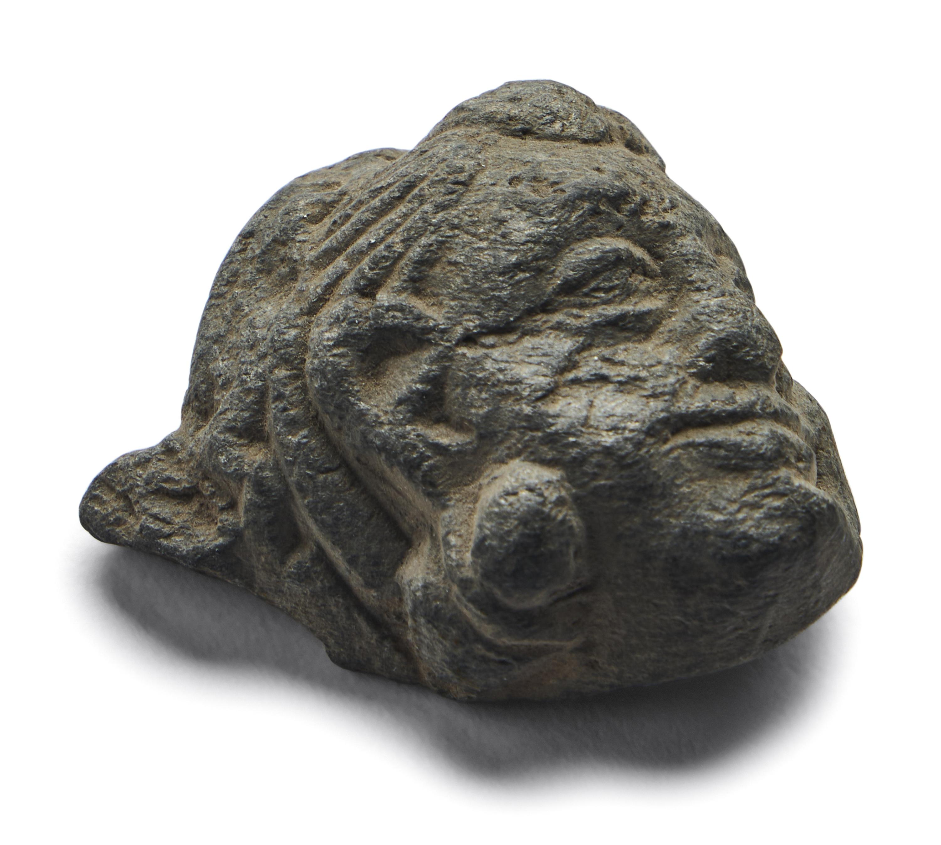 A Gandharan Stone Head