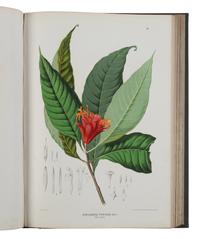 [NATURAL HISTORY]. WAWRA VON FERNSEE, Heinrich (1831-1887). Botanische ergebnisse der reise seiner majestat des Kaisers von Mexico Maximilian I. nach Brasilien (1859-60) . Vienna: Carl Gerold's Son, 1866.