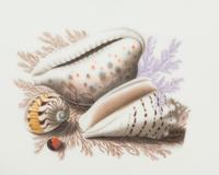 A Camille le Tallec Porcelain Dinner Service