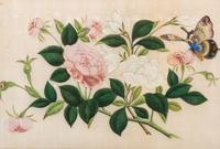 Three Chinese Pith Paintings of Butterflies and Flowers