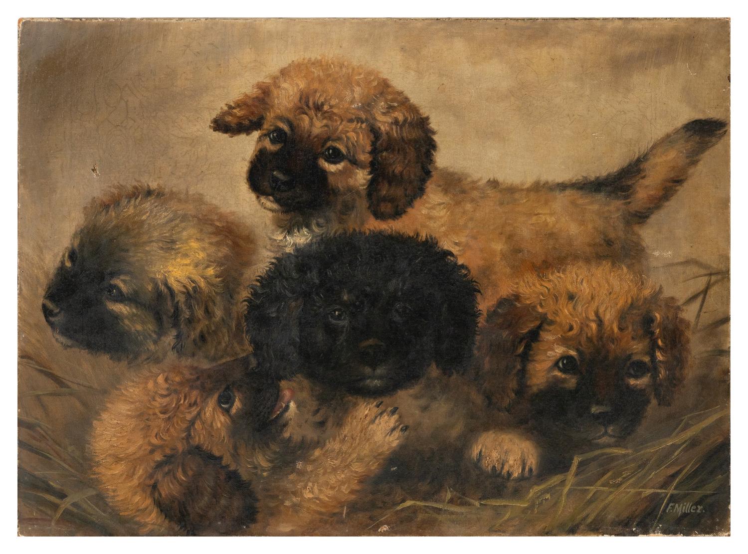 Five Puppies and Sleeping French Bulldog (two works)