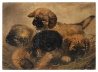 Five Puppies and Sleeping French Bulldog (two works)