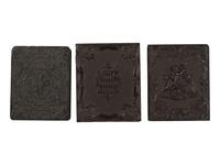 [EARLY PHOTOGRAPHY]. 20 half and quarter plate ambrotype portraits of men and women.