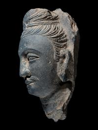 A Gandharan Grey Schist Head of Buddha