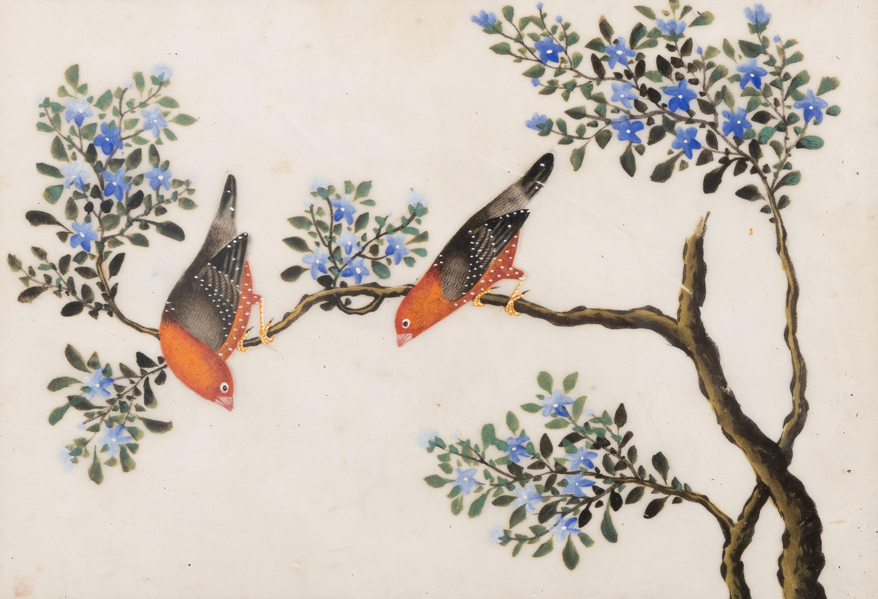 A Set of Twelve Chinese Export Watercolor and Pith Paintings