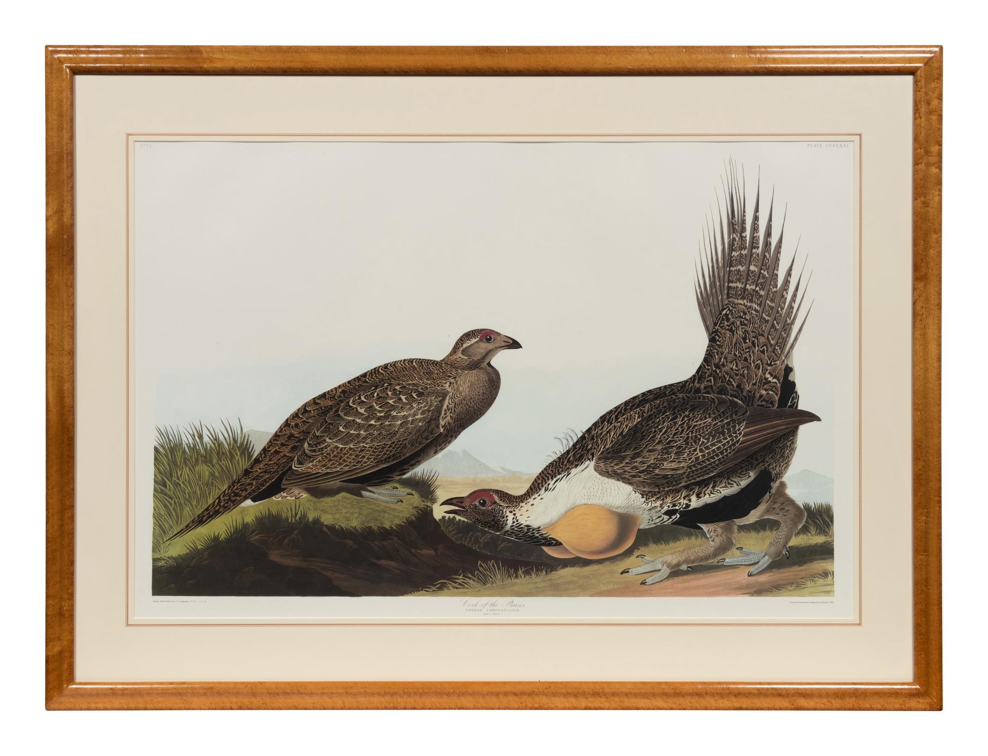 After John James Audubon (American, 1785-1851)