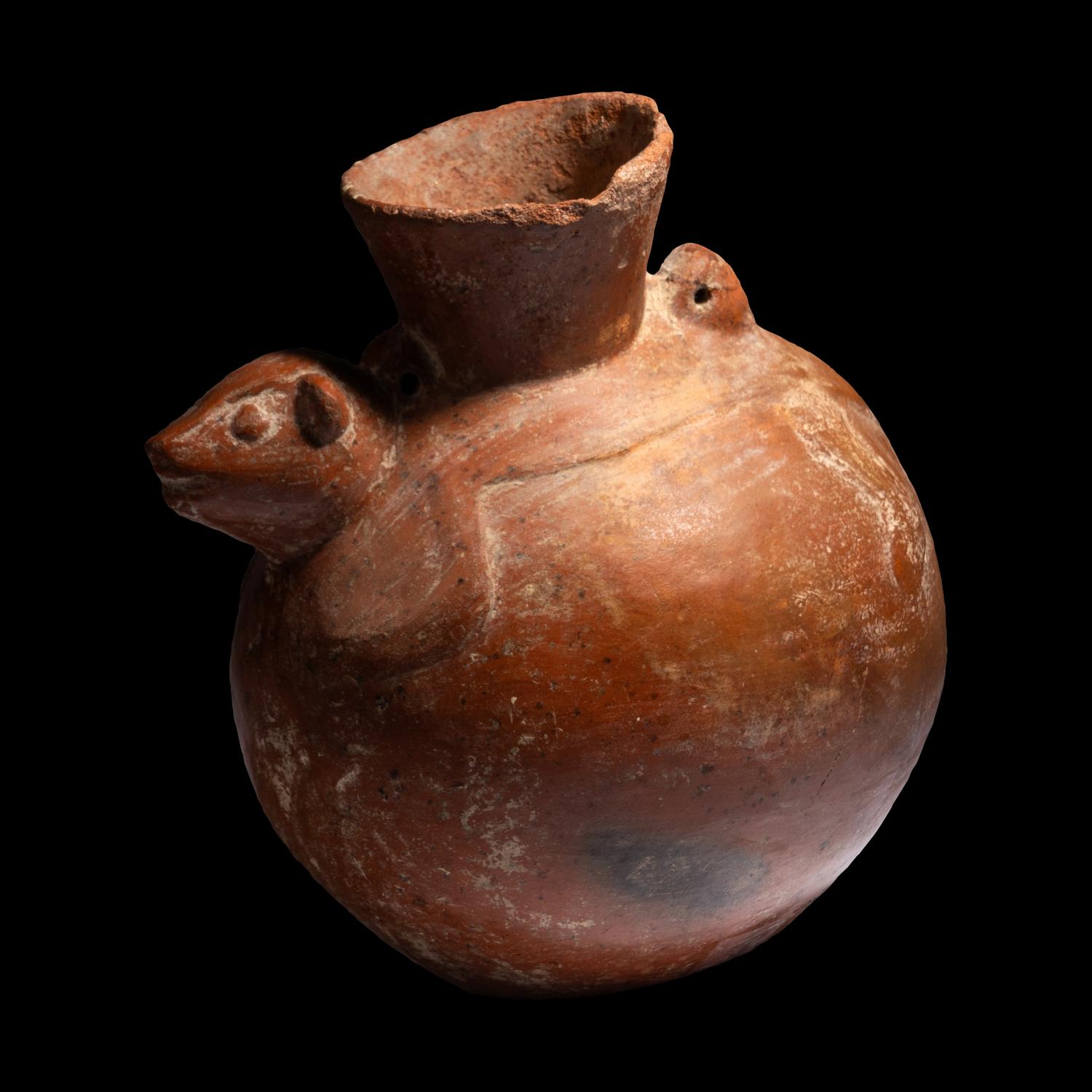 A Chimu Animal Effigy Vessel