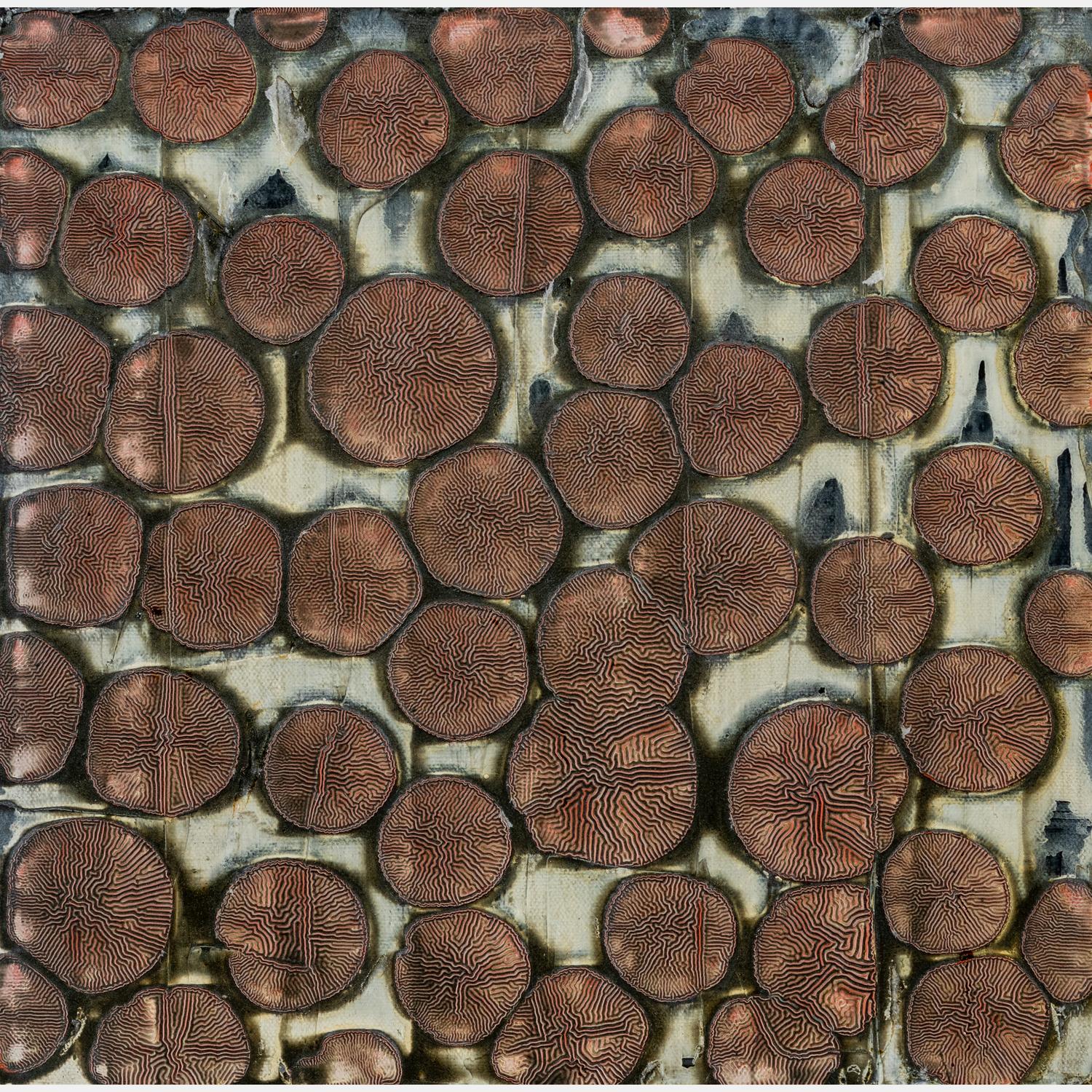 Dry HalfPennies