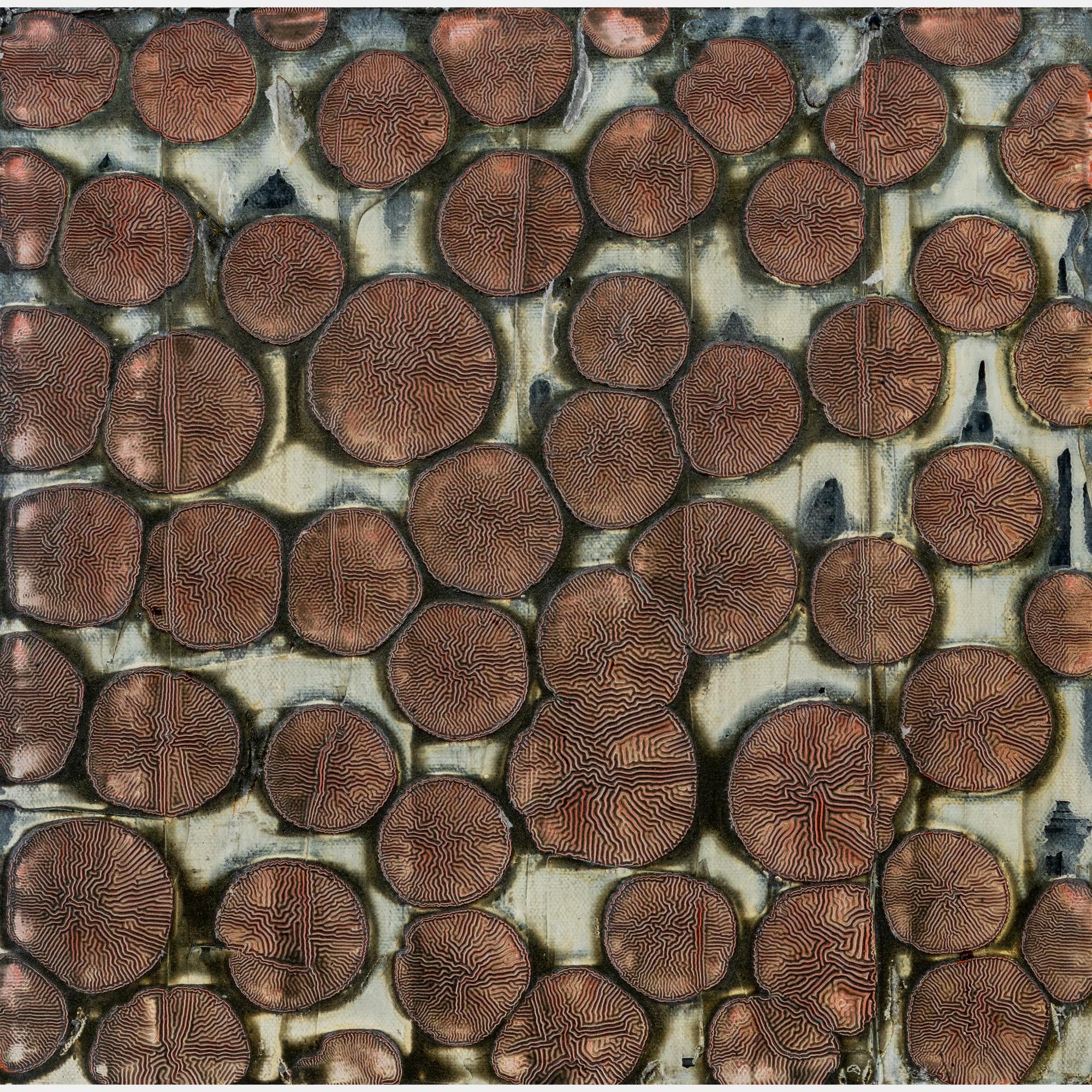 Dry HalfPennies