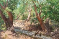 Creekbed Shadows , 2001