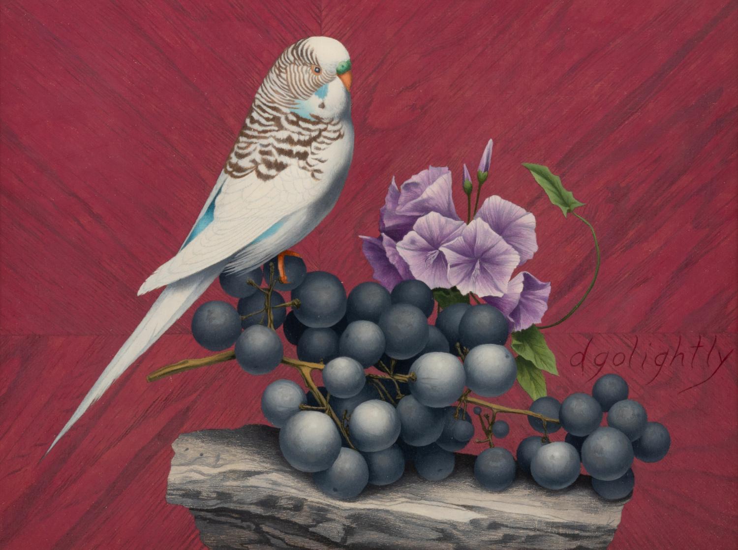 Budgie and Grapes