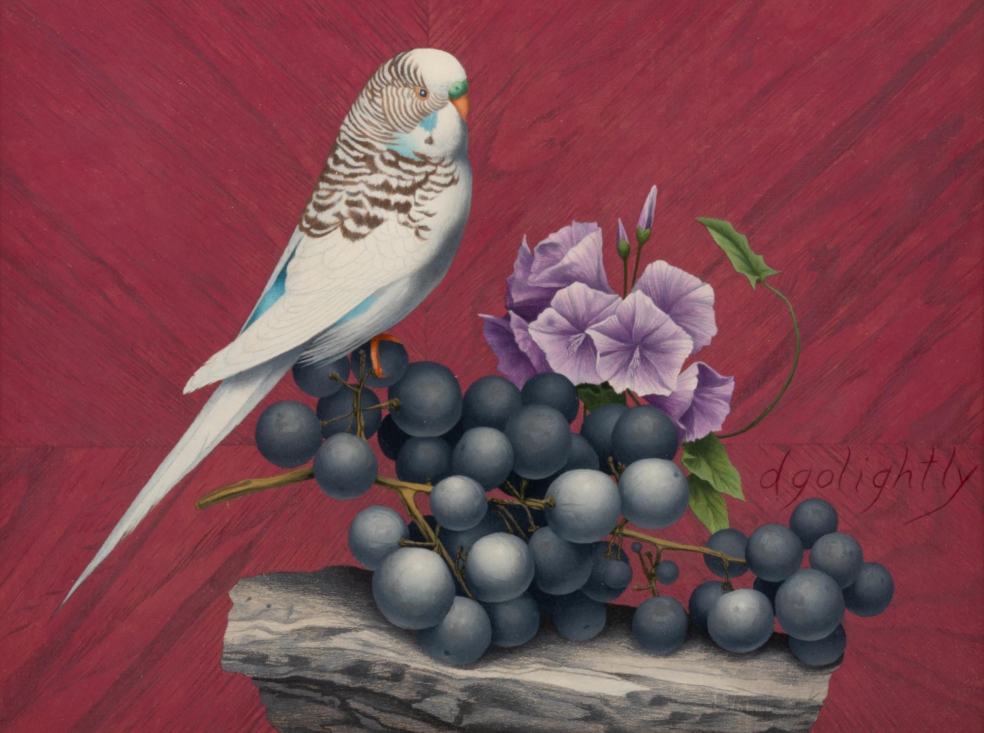 Budgie and Grapes