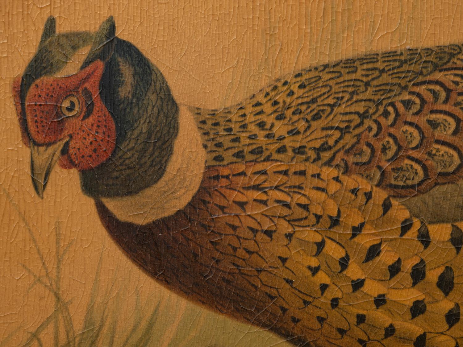 A Pair of Pheasant Prints (19th/20th Century)