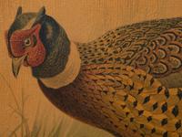 A Pair of Pheasant Prints (19th/20th Century)