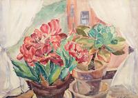 Tulips in the Window