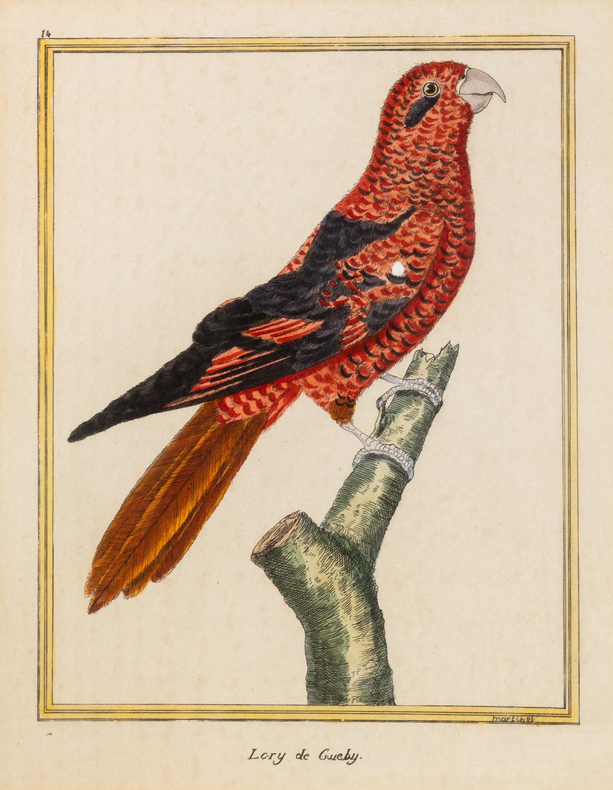 A Pair of Hand Colored Bird Engravings 10 1/2 x 8 1/2 inches. — 19TH CENTURY