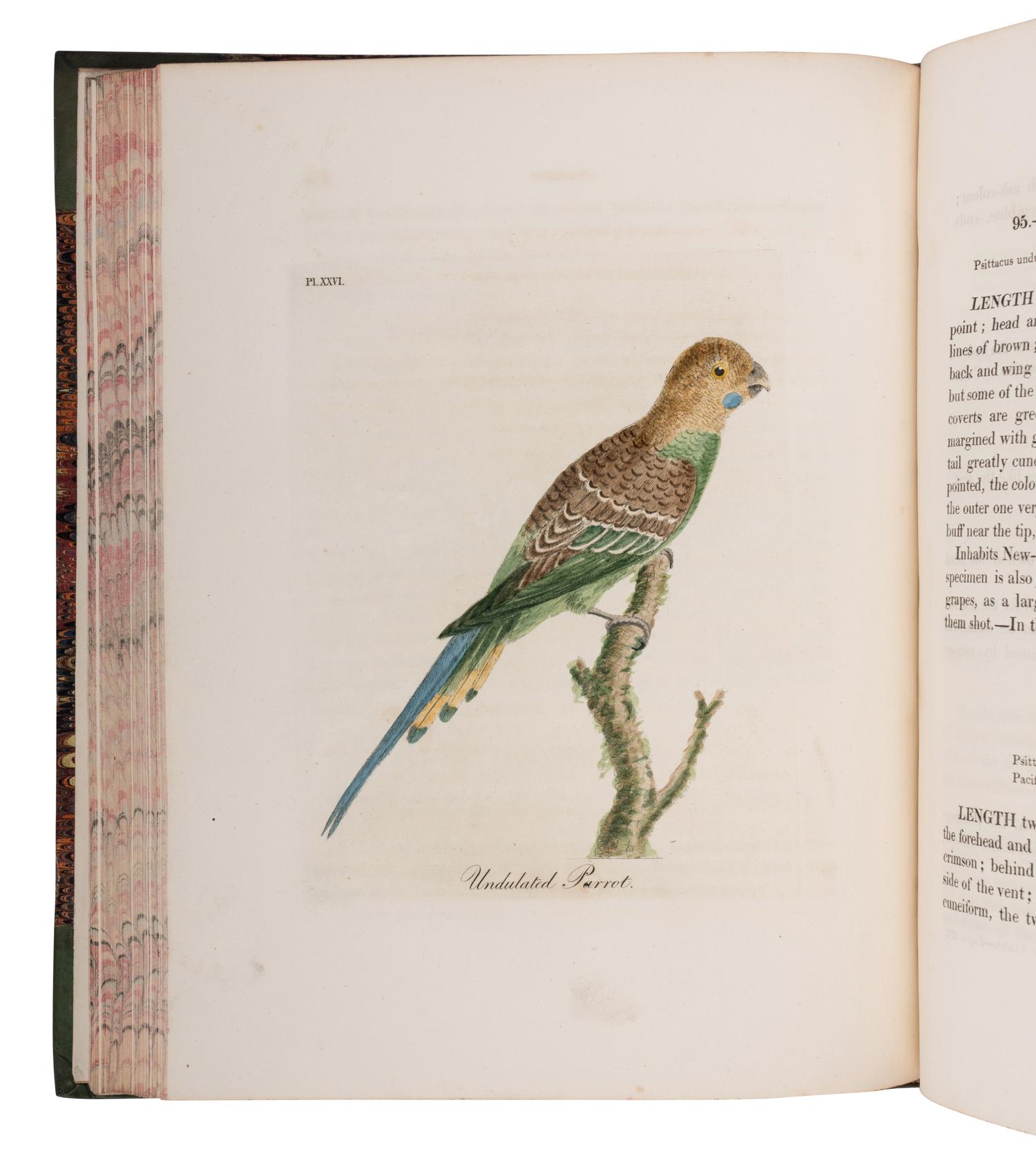 [NATURAL HISTORY - GEOLOGICAL SOCIETY OF LONDON]. Transactions of the Geological Society, Established November 13, 1807 . London: William Phillips for the Society, 1811-1821.