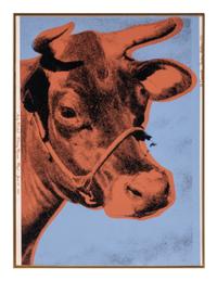 Cow , 1971