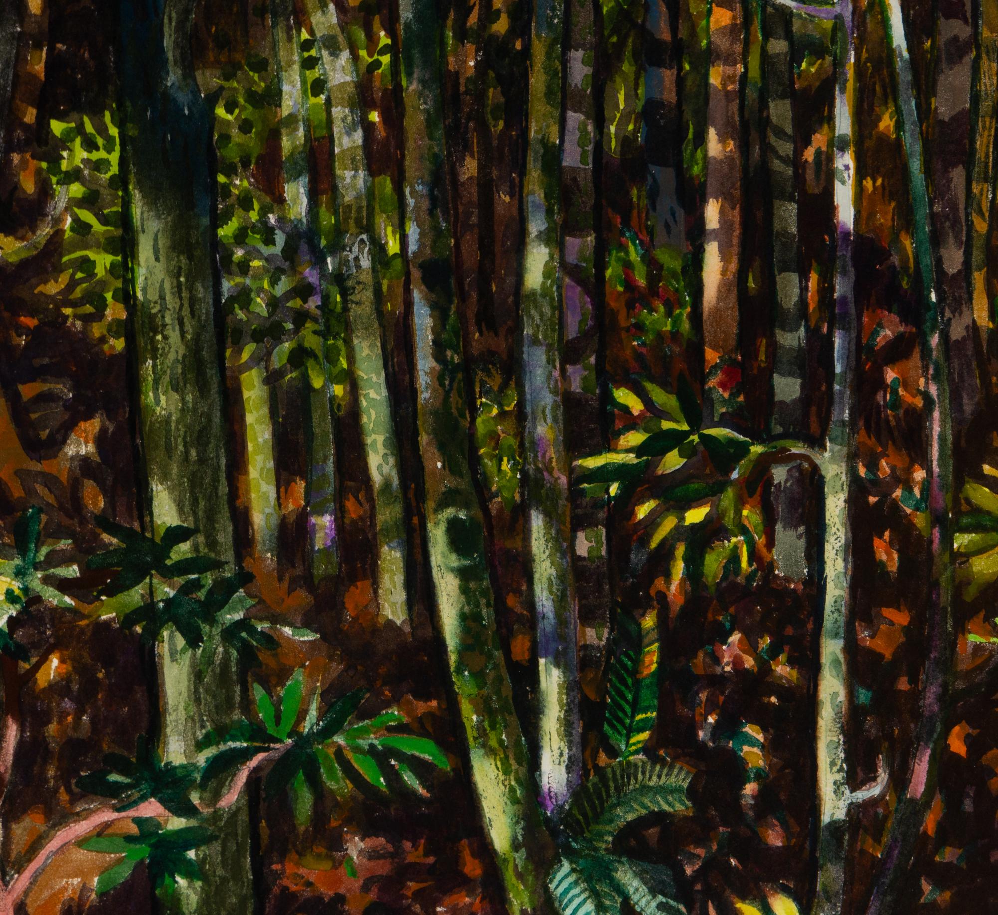Spring in Deep Woods, California , 1976