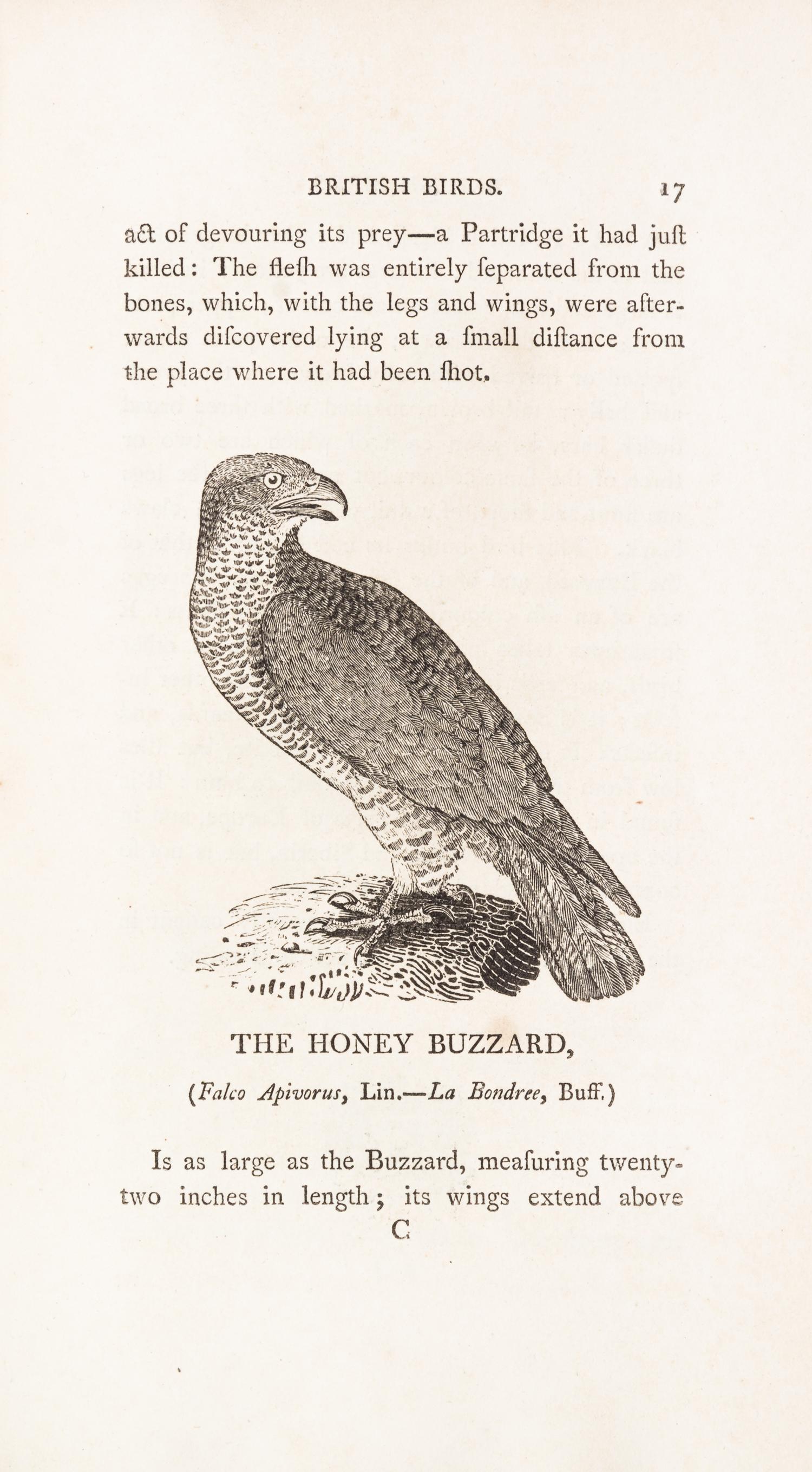 BEWICK, THOMAS. A History of British Birds. Newcastle, 1797-1804. 2 vols.