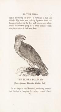 BEWICK, THOMAS. A History of British Birds. Newcastle, 1797-1804. 2 vols.