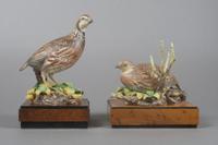 A Pair of Royal Worcester Birds, Bob White Quails, Height 8 1/4 inches.