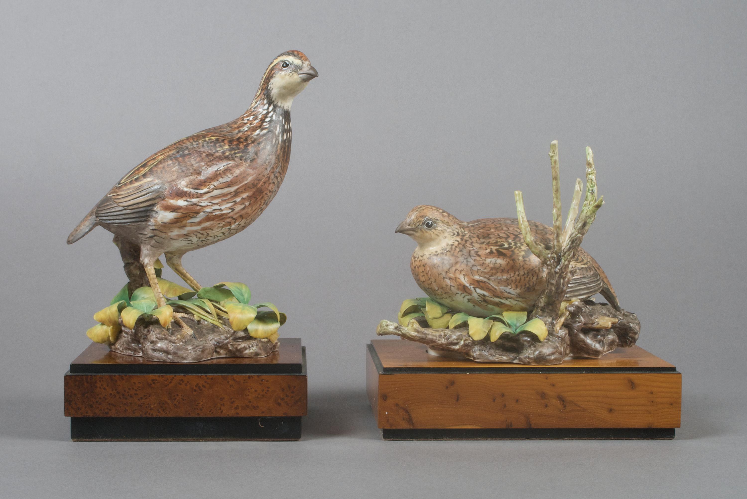 A Pair of Royal Worcester Birds, Bob White Quails, Height 8 1/4 inches.