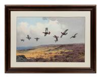 Pheasants in Flight