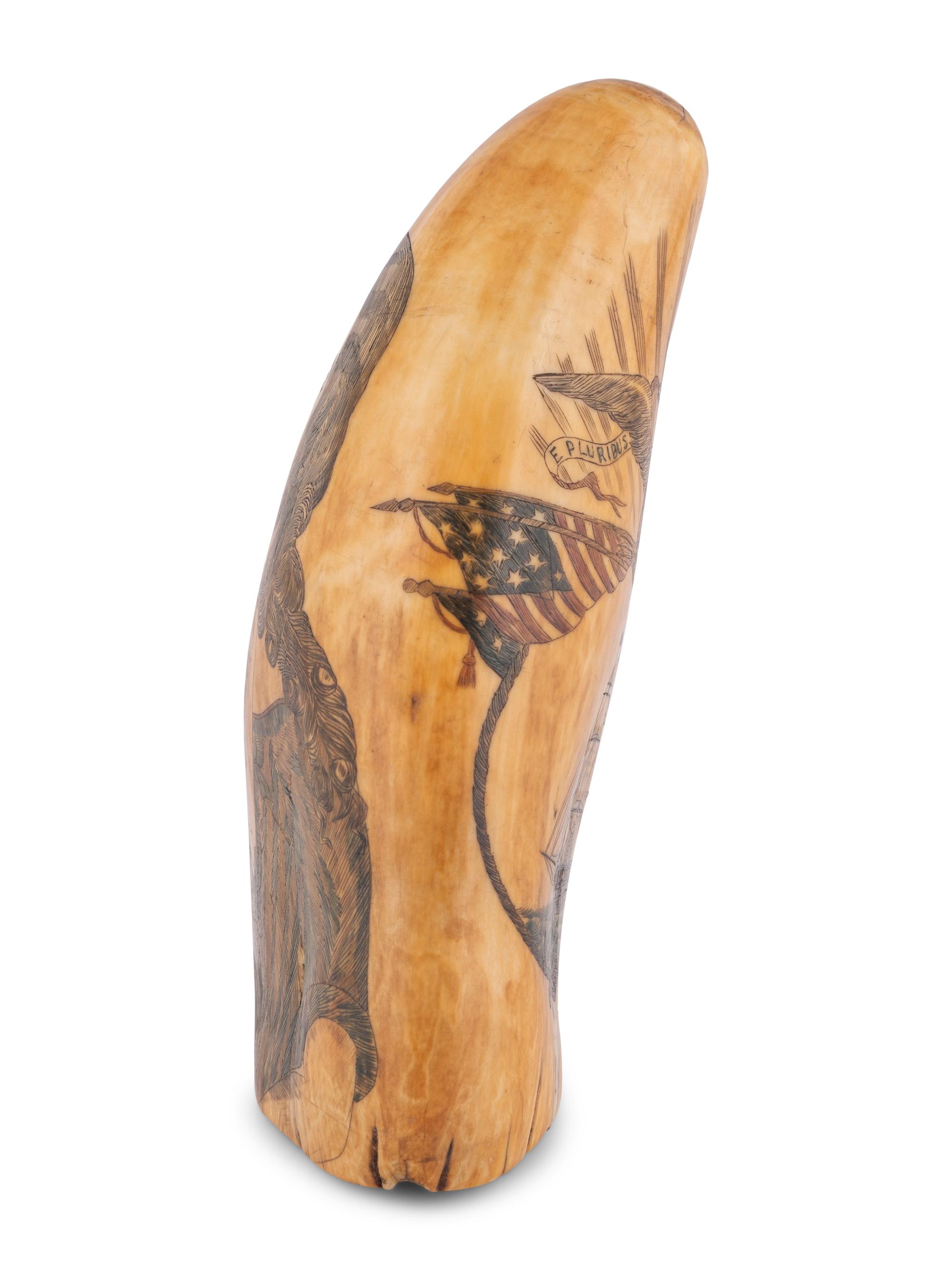 A Scrimshaw Tooth with Polychrome Depiction of the USS Pennsylvania