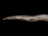 An Indonesian Kris Dagger