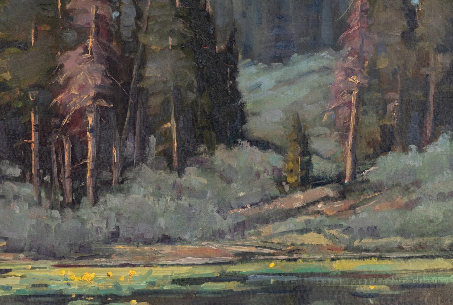 Lily Pond