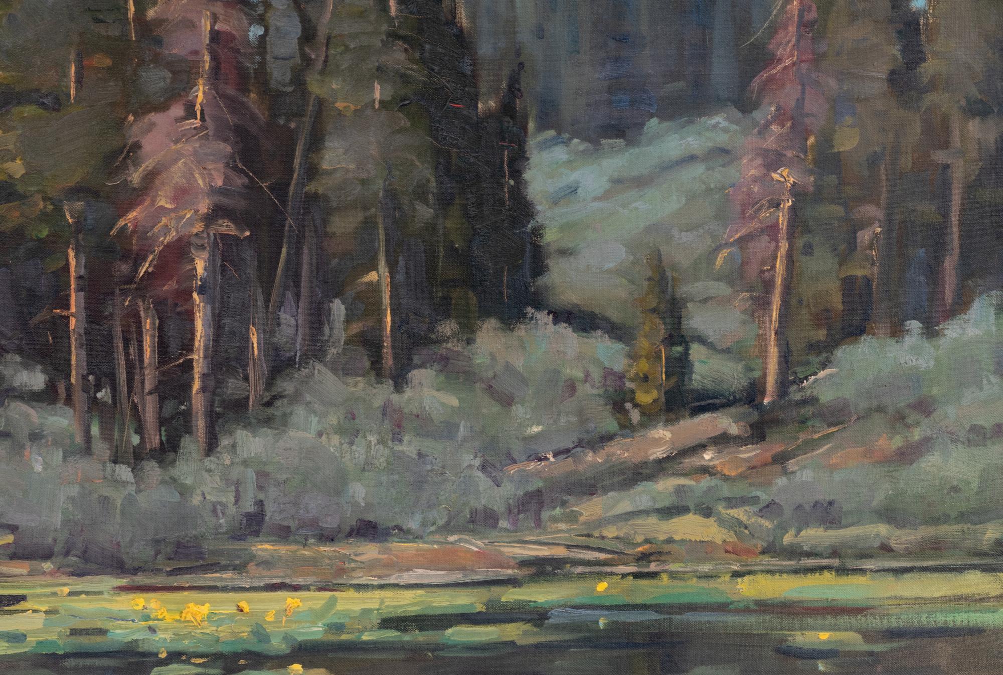 Lily Pond