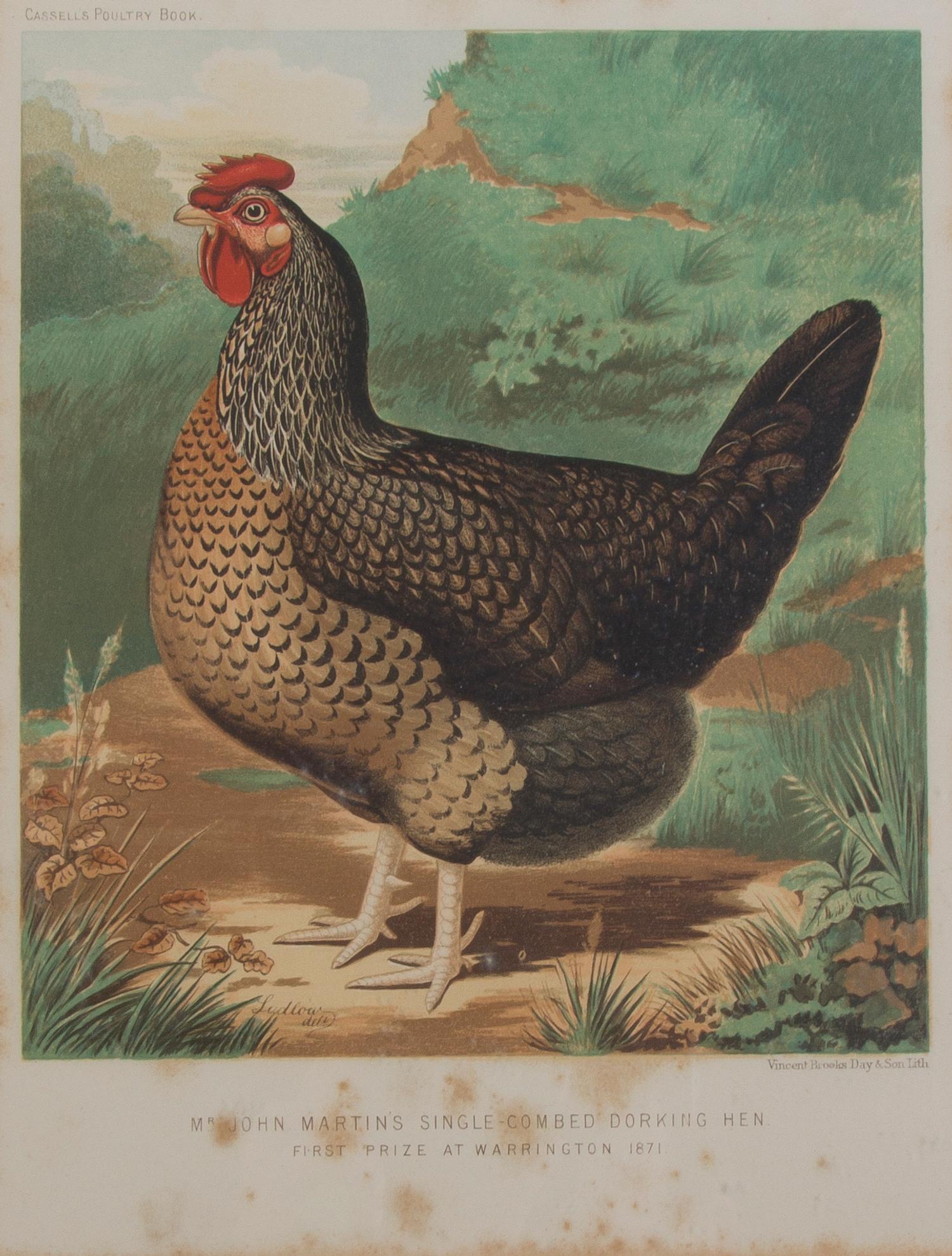 Twelve English Handcolored Engravings, Height of first 9 1/2 x width 7 1/8 inches (visible).