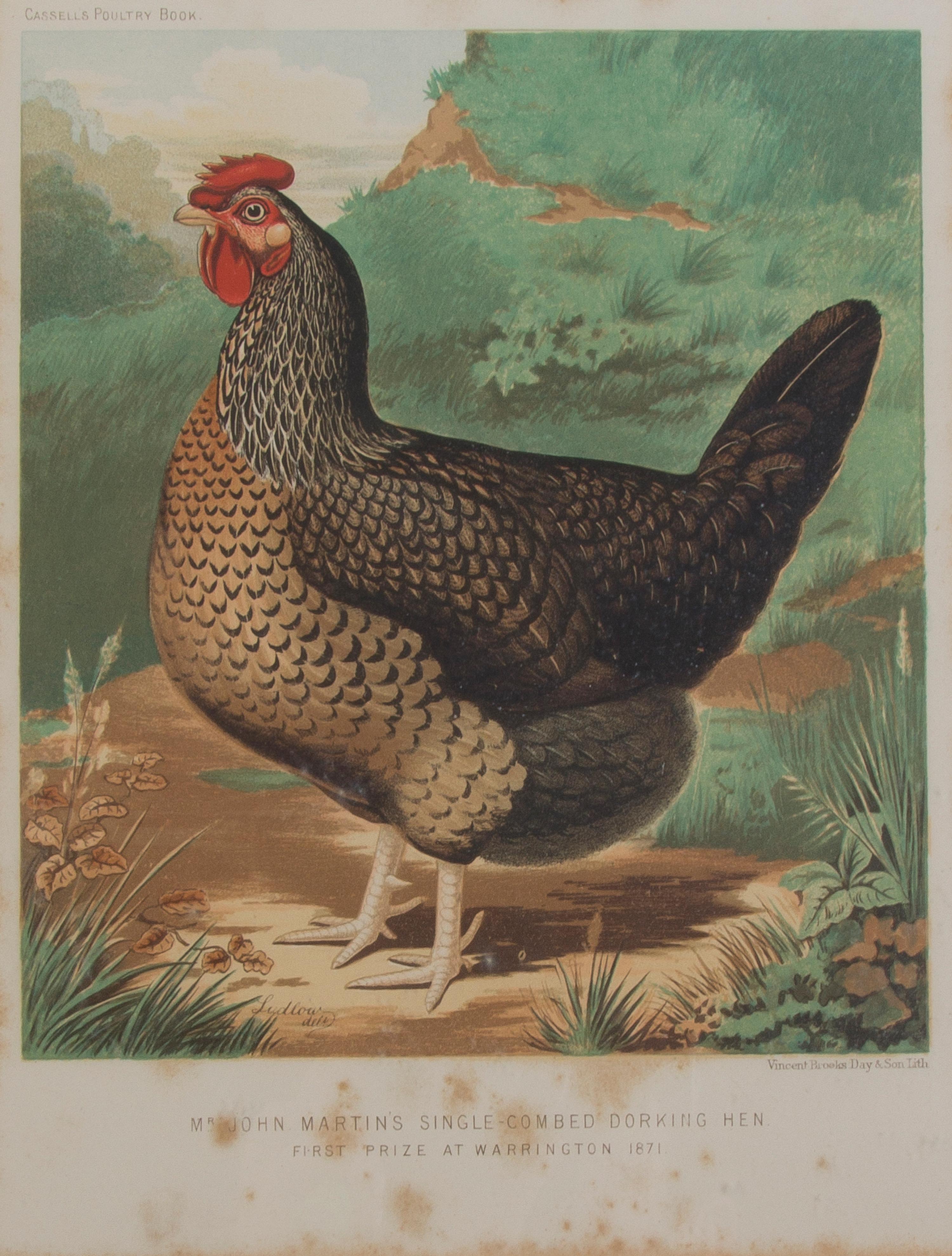 Twelve English Handcolored Engravings, Height of first 9 1/2 x width 7 1/8 inches (visible).