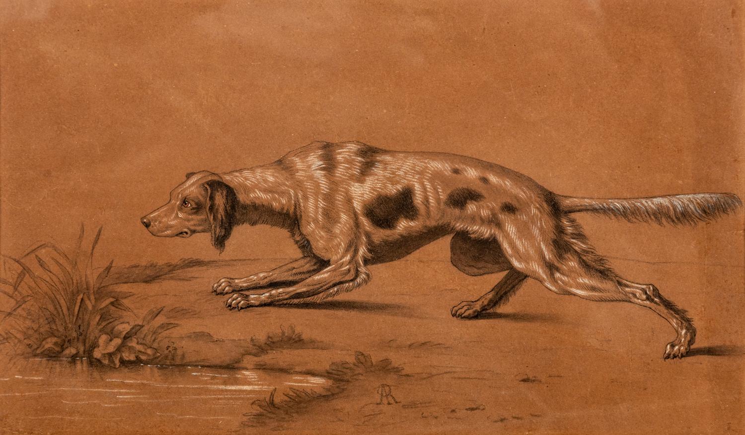 Hound
