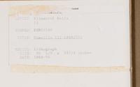 Camellia III (from Suite of Plant Lithographs ), 1964-1965