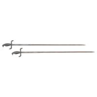 Pair of Raven Pommel Court Swords