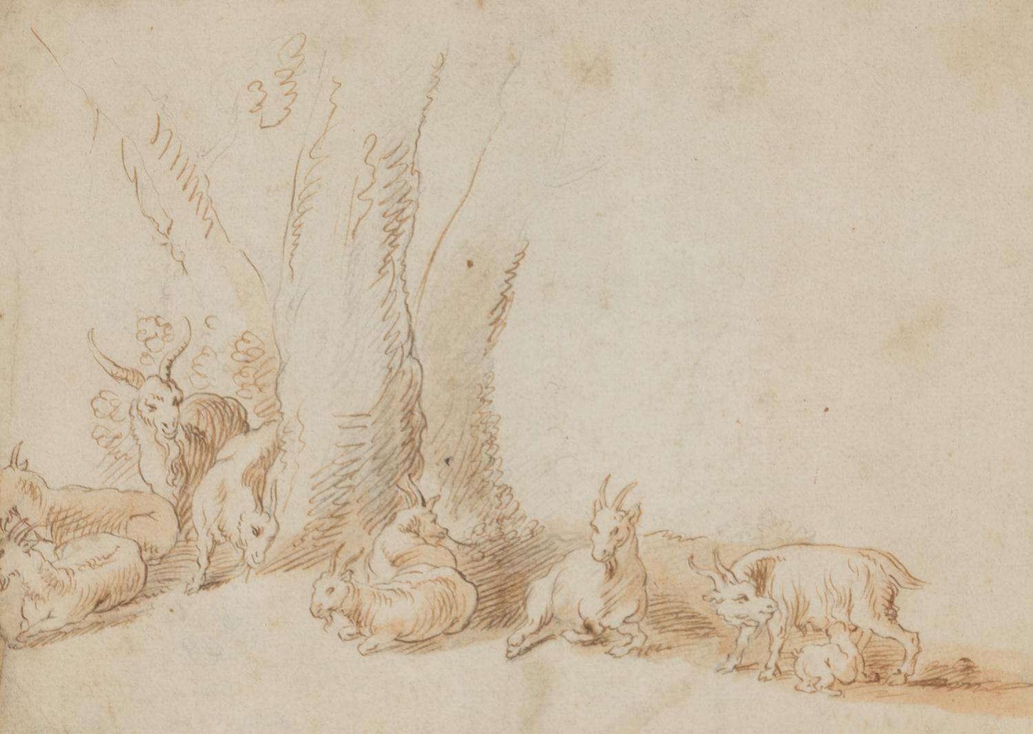 A Herd of Goats Resting by Trees