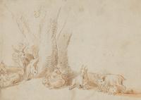 A Herd of Goats Resting by Trees