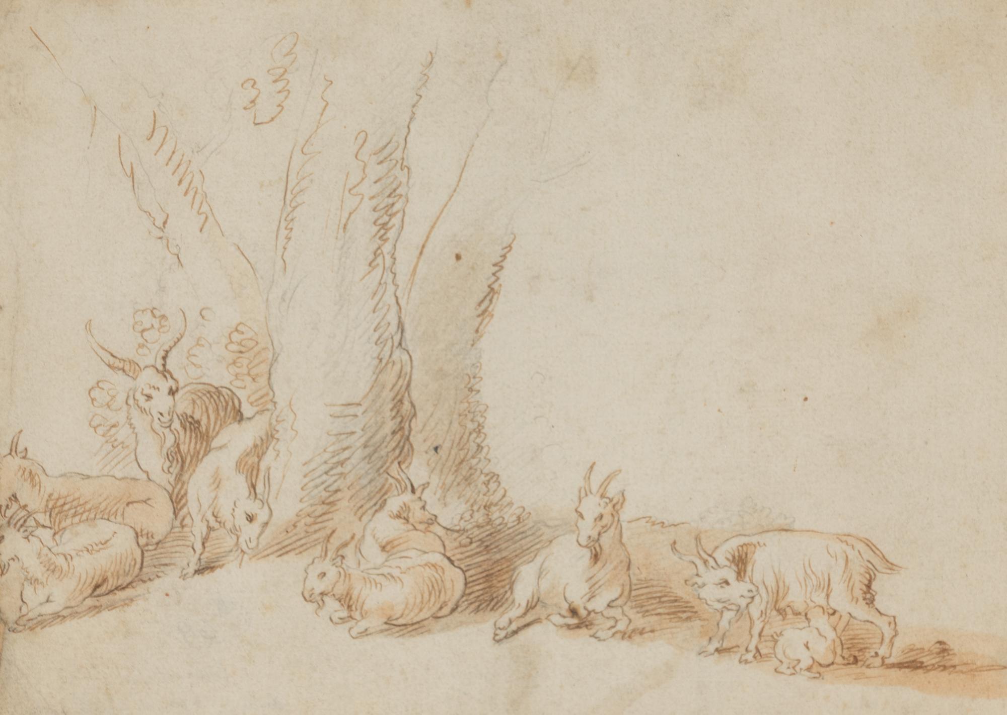 A Herd of Goats Resting by Trees