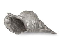 A Collection of Silvered Cast Metal Seashells