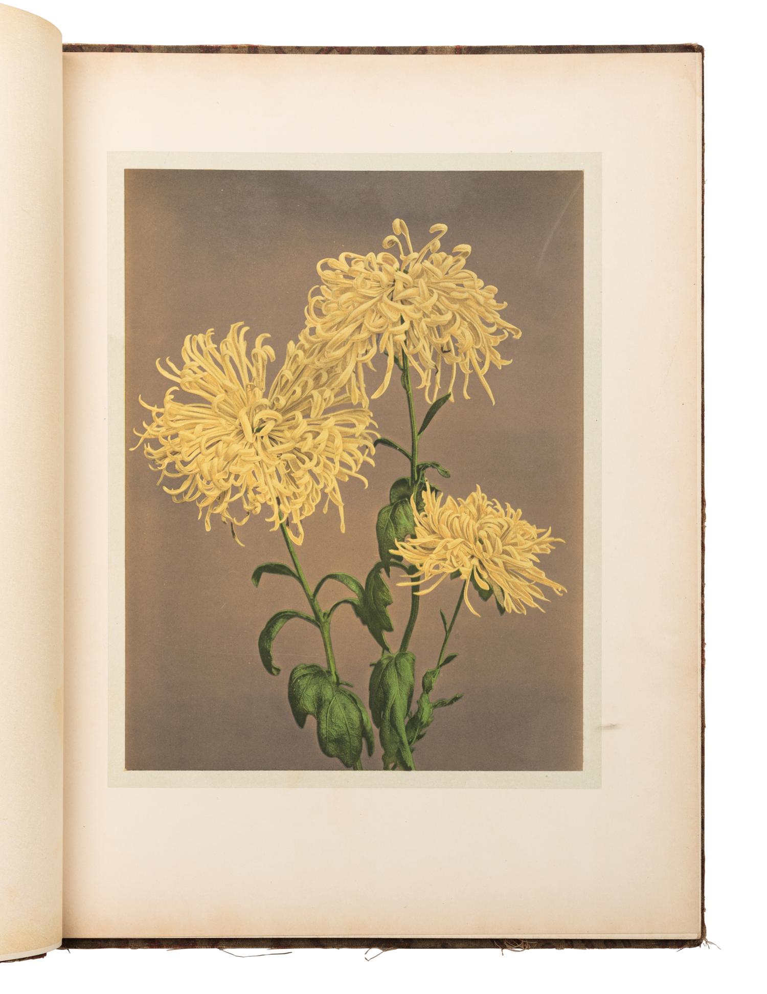 [JAPAN] A group of old reference works about Japanese Culture, comprising: