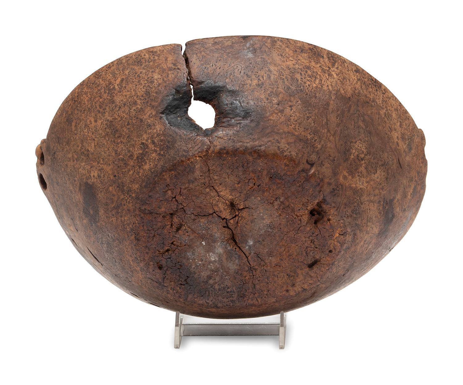 A Carved Wood Handled Burlwood Bowl