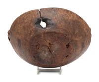 A Carved Wood Handled Burlwood Bowl