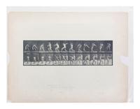 15 Plates from Animal Locomotion , 1887
