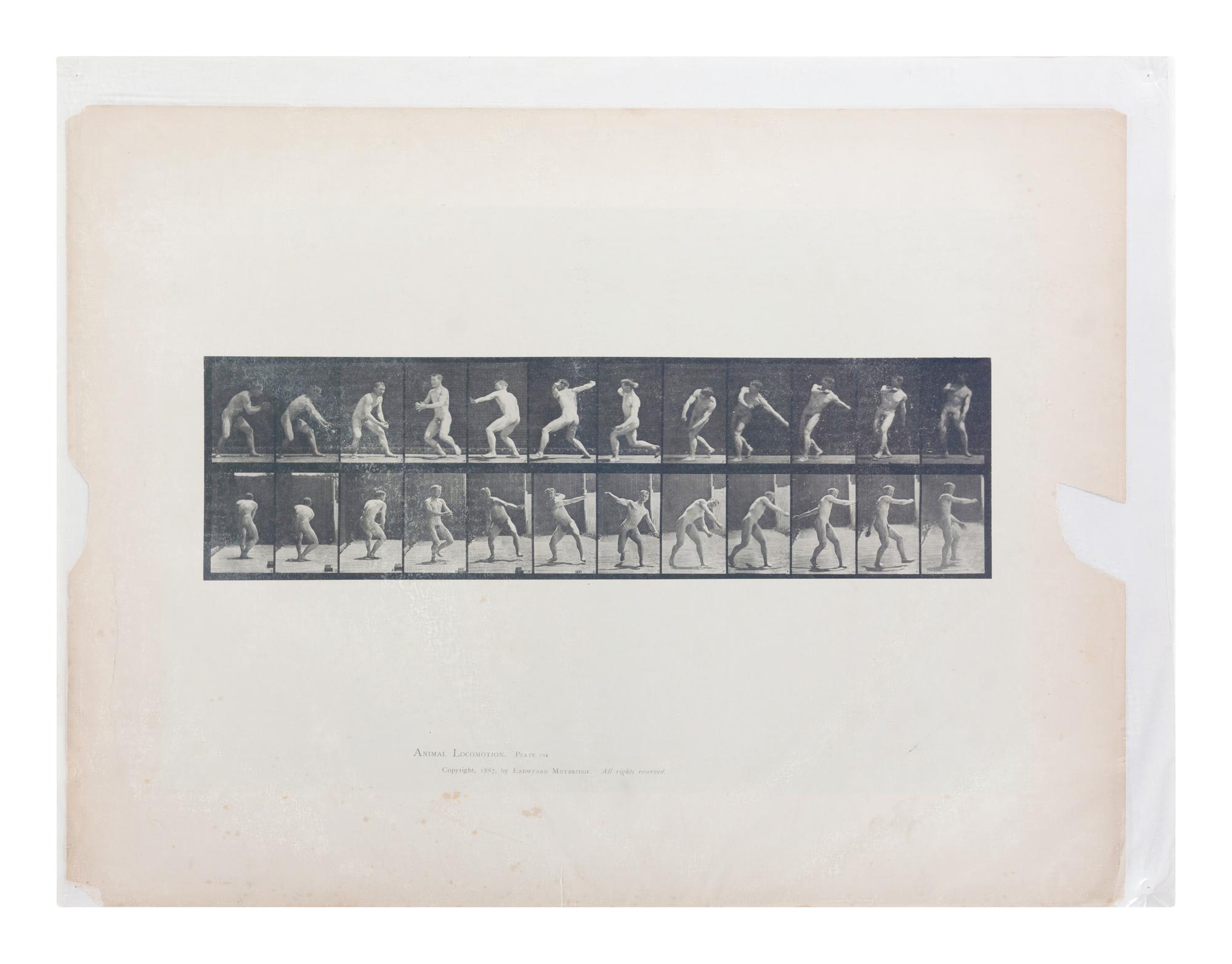 15 Plates from Animal Locomotion , 1887