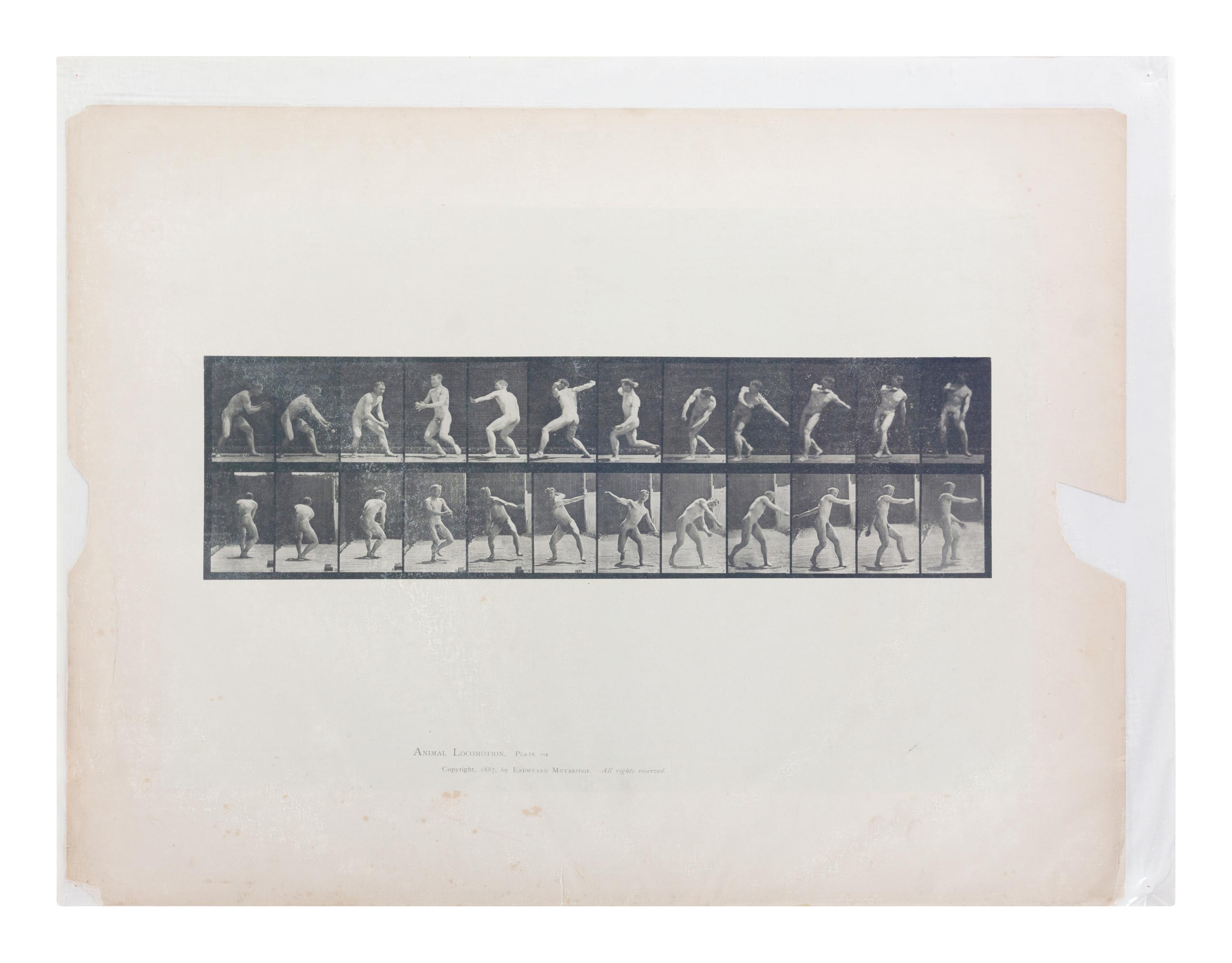 15 Plates from Animal Locomotion , 1887