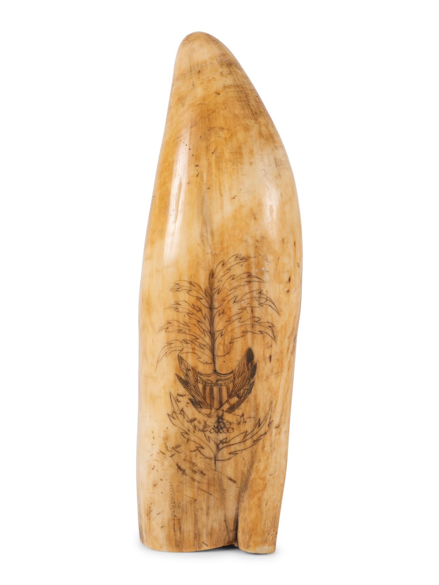 A Scrimshaw Tooth with Depiction of Female Pirate Fanny Campbell and a Patriotic Device